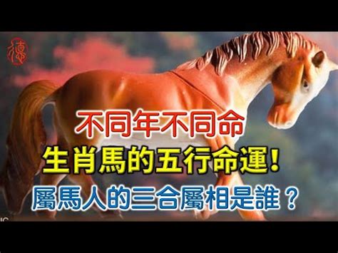 馬的五行|生肖馬五行屬性大全 屬馬五行相生相剋